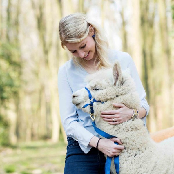 Alpaca Terapia