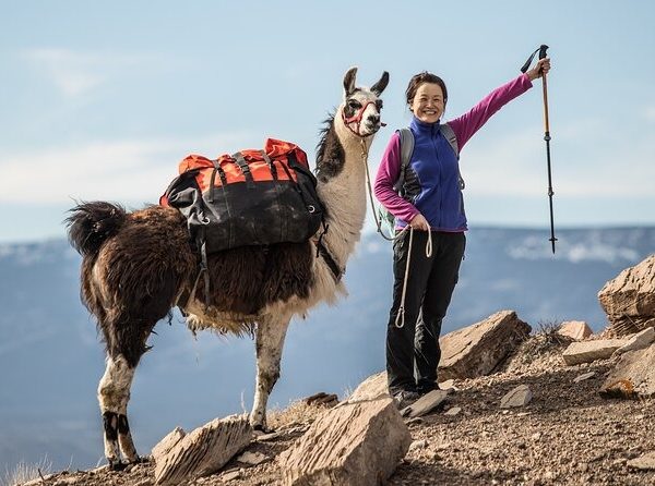 Llama Trekking