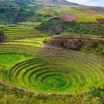 Moray